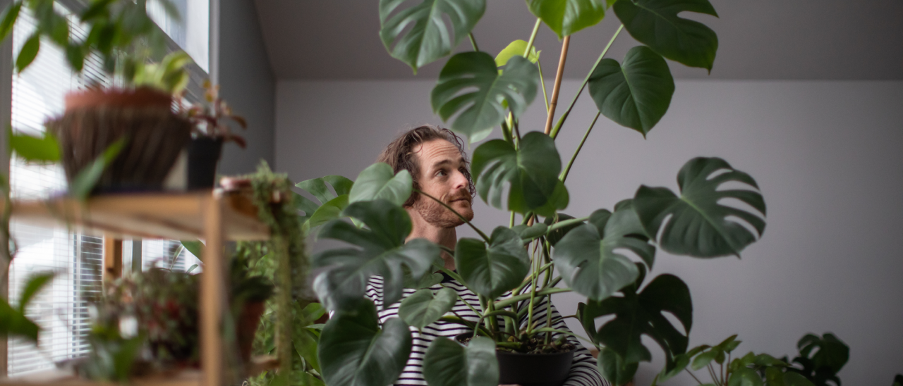 Zoek jij dé plant voor op je werk, thuis of om cadeau te geven?